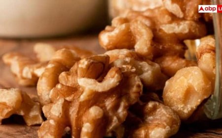 Benefits of Soaked Walnuts: भीगे अखरोट खाने का सबसे सही समय क्या है? डॉक्टर से जानिए इसके फायदे