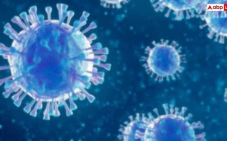 Viral Flu Symptoms: वायरल फ्लू का बढ़ रहा है अटैक, इन लक्षणों को गलती से भी न करें नजरअंदाज