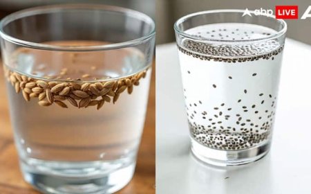 Metabolism Booster Drink: जीरा वॉटर बेस्ट है या चिया सीड्स का पानी, जानें वजन घटाने के लिए दोनों में कौन ज्यादा कारगर?