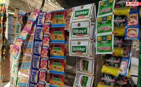 Gutkha Flavors and Health Risks: गुटखा में किस वजह से आता है फ्लेवर का स्वाद, यह सेहत के लिए कितना होता है खतरनाक?