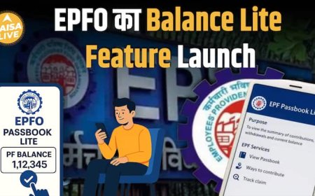 EPFO का नया 'Passbook Lite' Feature: अब PF Balance Check करना हुआ बेहद आसान| Paisa Live
