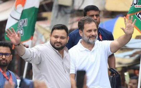 '50% आरक्षण की दीवार तोड़ देंगे', बिहार में राहुल गांधी ने भरी हुंकार; कहा- जिनकी जितनी हिस्सेदारी...