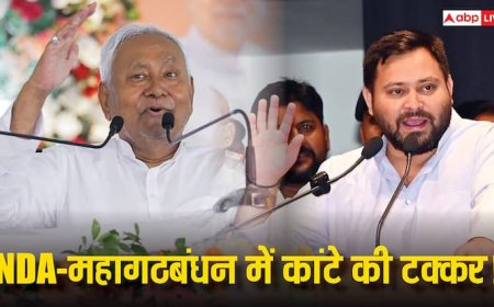 Bihar Assembly Elections 2025: बिहार चुनाव को लेकर आया सबसे ताजा सर्वे, नीतीश कुमार या तेजस्वी यादव किसकी बढ़ेगी टेंशन? आंकड़ों ने चौंकाया