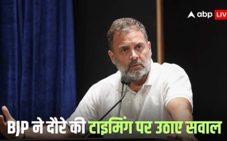 Rahul Gandhi: 'बंद दरवाजों के पीछे भारत विरोधी...', राहुल गांधी की विदेश यात्रा पर क्या बोली बीजेपी?