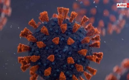 New Coronavirus Strain: अमेरिका में फिर फैल रहा कोरोना वायरस का नया स्ट्रेन, ऐसे दिखते हैं लक्षण