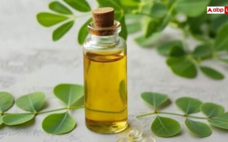 Moringa Oil Benefits for Hair Growth: बालों को तेजी से लंबा करने के लिए मोरिंगा का तेल लगाएं, ऐसे करें इस्तेमाल