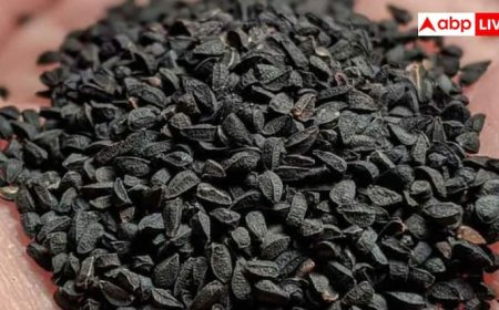 मौत को छोड़कर हर बीमारी का इलाज हैं ये बीज! आज ही खरीदकर शुरु करें खाना