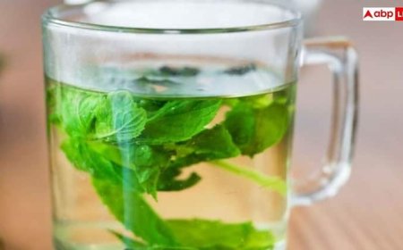 Skin Care Tips: सुबह-सुबह तुलसी का पानी पीने से खिल उठेगी त्वचा, देखते ही लोग पूछने लगेंगे क्या है राज