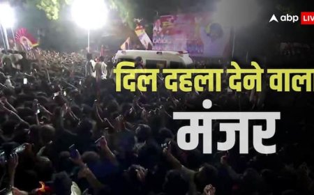 जान बचाने के लिए झोपड़ी में घुसे लोग, जब भीड़ बढ़ी तो छप्पर फाड़कर निकले... करूर भगदड़ का VIDEO आया सामने