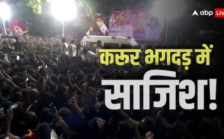 CBI या SIT से कराएं जांच... करूर भगदड़ मामले में हाई कोर्ट पहुंचे एक्टर विजय; DMK पर लगाए ये आरोप