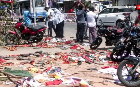 Vijay Rally Stampede: ‘लोग चिल्ला रहे थे, लेकिन विजय ने किया नजरअंदाज’, चश्मदीदों ने TVK नेता पर उठाए सवाल