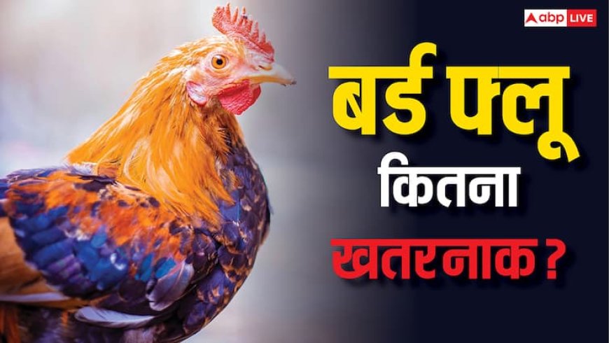दिल्ली चिड़ियाघर में फैला बर्ड फ्लू, क्या लोगों को भी हो सकता है खतरा?