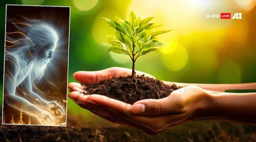 Pitru Paksha 2025: पितृ पक्ष में लगाएं ये पौधे, पितृ होंगे प्रसन्न, मिलेगा आशीर्वाद