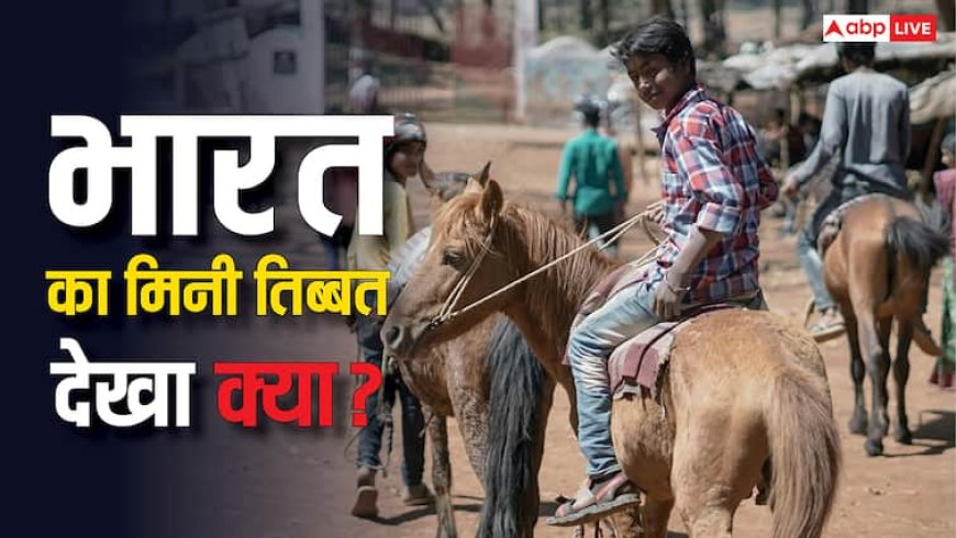 भारत में घूमना है मिनी तिब्बत तो चले जाएं इस राज्य, कसम से आ जाएगा मजा