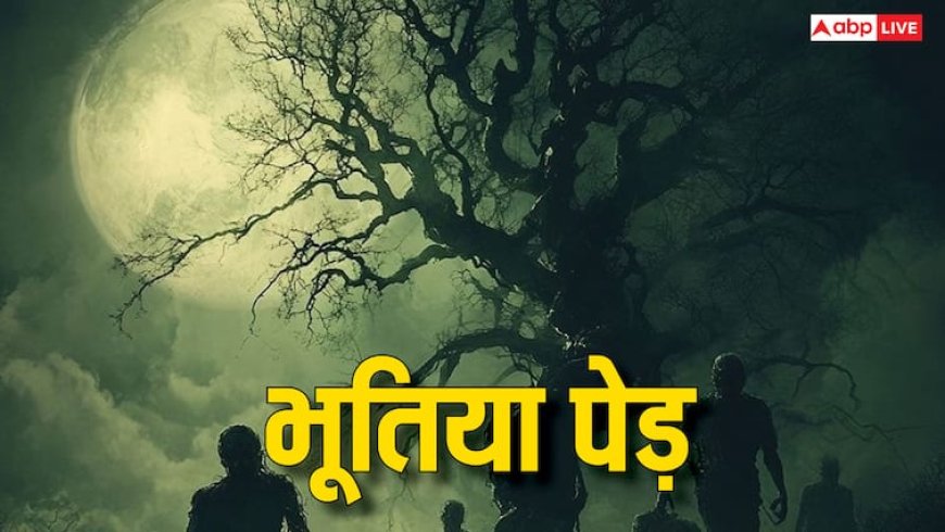 Bhoot on Trees: पीपल, बरगद और इमली पेड़ के पास रात में क्यों नहीं जाते, क्या होता है भूतों का वास