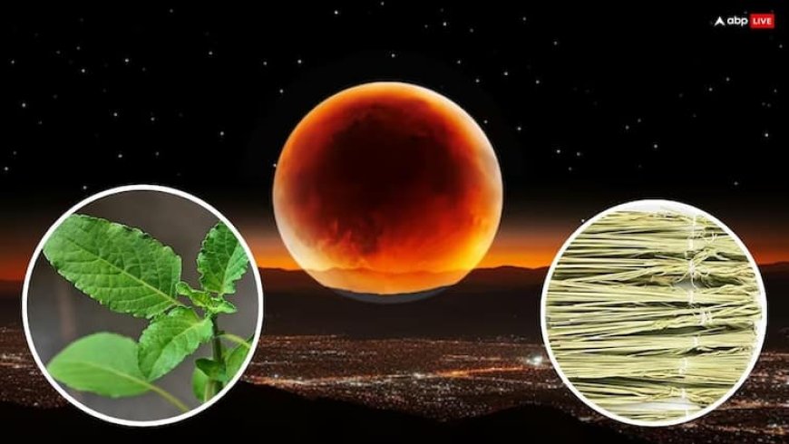 Chandra Grahan 2025: चंद्र ग्रहण में तुलसी और कुशा का महत्व जान लें, नहीं पड़ता अशुभ असर