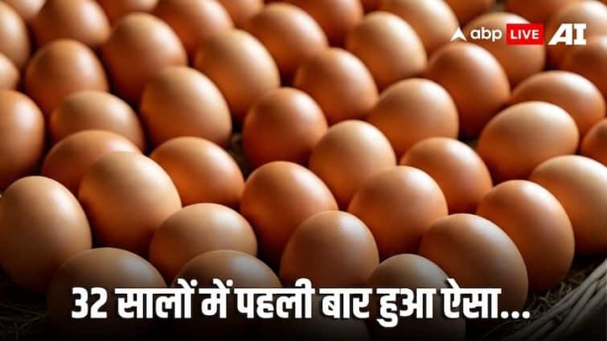 भारत ने खरीदा तेल तो लगा दिया 50% टैरिफ, अब खुद रूस से अंडे खरीदने को मजबूर हुआ अमेरिका; जानें क्या है पूरा मामला?