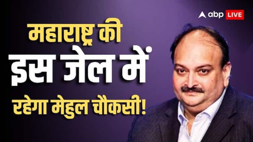 'खाना, इलाज और सुरक्षा का पूरा इंतजाम...', भारत ने बेल्जियम कोर्ट को बताया मेहुल चौकसी कहां और कैसे रहेगा?