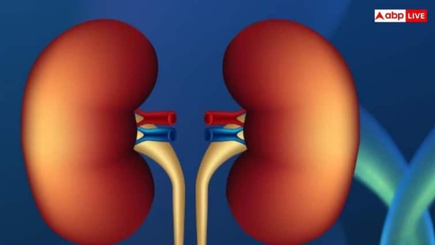 किडनी खराब होने पर ये संकेत आते हैं नजर, बिल्कुल नहीं करना चाहिए इग्नोर