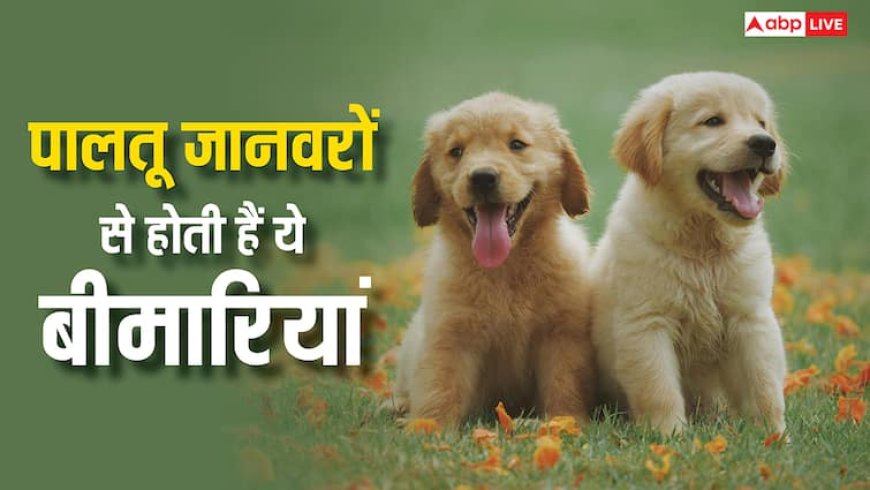 घर में रखते हैं पालतू जानवर? फैल सकती हैं इतनी खतरनाक बीमारियां