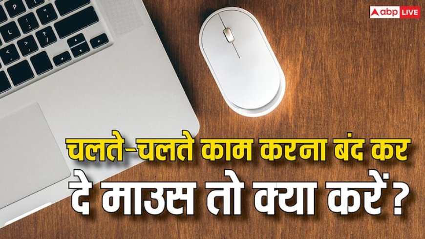 चलते-चलते माउस ने काम करना कर दिया बंद? परेशान होने की बजाय करें ये काम, बात बन जाएगी