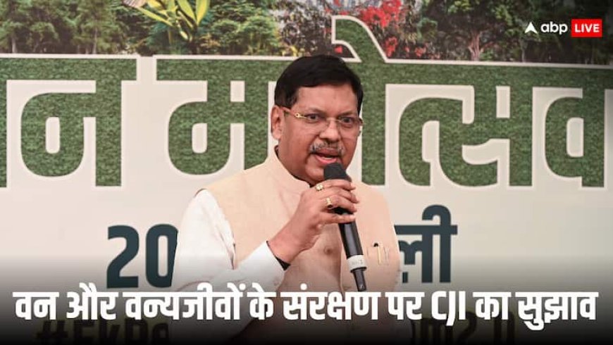 रणथंभौर नेशनल पार्क पहुंचे CJI गवई, बाघों के संरक्षण से जुड़े कानून में बदलाव का दिया सुझाव