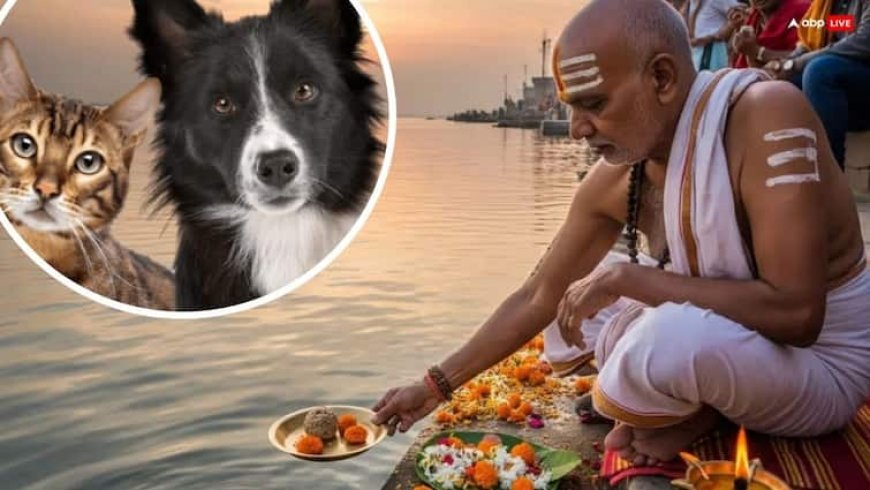 Pitru Paksha 2025: क्या पितृ पक्ष में जानवरों का श्राद्ध किया जाता है?