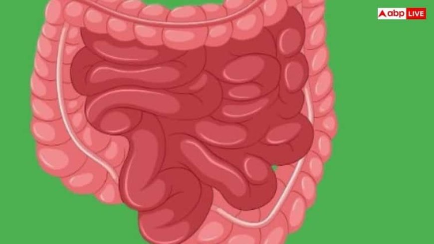 Home Remedy for Stomach Worms: पेट में कीड़े होने पर दिखाई देते हैं ये 7 लक्षण, इन देसी नुस्खों से करें इलाज