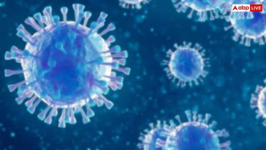 Viral Flu Symptoms: वायरल फ्लू का बढ़ रहा है अटैक, इन लक्षणों को गलती से भी न करें नजरअंदाज