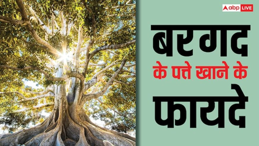 Banyan Leaves Health Benefits: सुबह खाली पेट बरगद के पत्ते खाने से ठीक हो जाती है यह बीमारी, जानें कितना मिलता है फायदा?