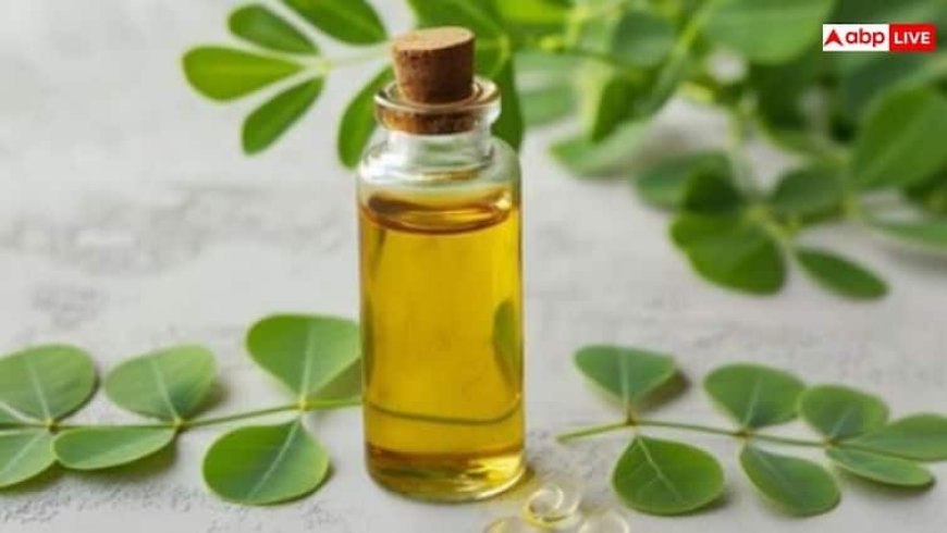 Moringa Oil Benefits for Hair Growth: बालों को तेजी से लंबा करने के लिए मोरिंगा का तेल लगाएं, ऐसे करें इस्तेमाल