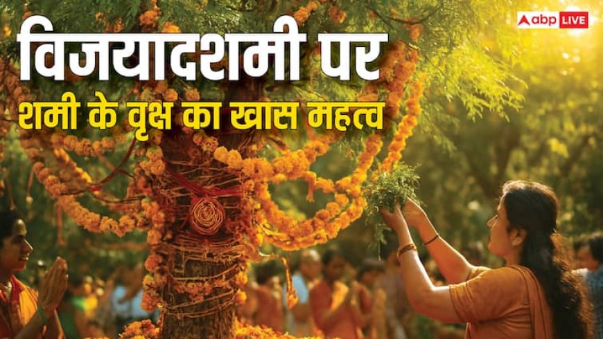 Shami Tree Worship: विजयादशमी पर शमी के वृक्ष का है खास महत्व, जानें इनकी पत्तियों में छिपा है समृद्धि का रहस्य