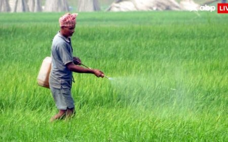 दिवाली से पहले किसानों को मोदी सरकार का गिफ्ट, इन छह फसलों पर बढ़ाई गई MSP