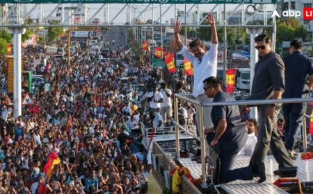 पुलिस के लाठीचार्ज के कारण करूर में मची भगदड़, हाई कोर्ट में विजय की पार्टी ने स्टालिन सरकार पर लगाया आरोप