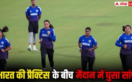 प्रैक्टिस के बीच मैदान में घुसा सांप, हक्का-बक्का रह गई भारतीय टीम