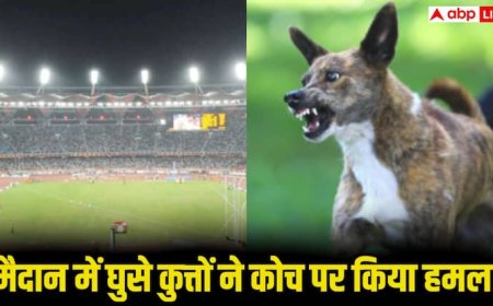 World Para Athletics Championships 2025: पूरे स्टेडियम में मचा हड़कंप! आवारा कुत्तों ने कोचों पर किया हमला, तुरंत अस्पताल ले जाया गया