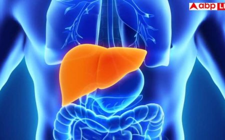 Foods For Heart Health: डाइट में शामिल कर लें ये 6 फूड तो साफ हो जाएंगी हार्ट की आर्टरीज, स्ट्रोक से भी नैचुरली होगा बचाव