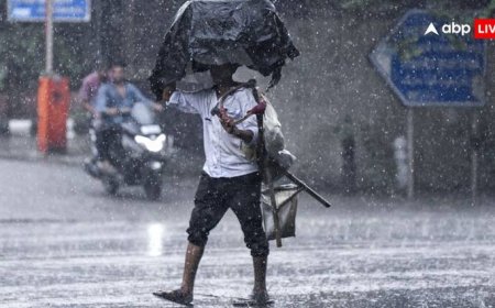 दिल्ली-NCR से लेकर यूपी-बिहार तक में जमकर बरसेंगे बदरा, जानें अगले 7 दिनों तक देश में कैसा रहेगा मौसम