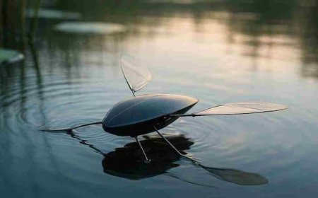 कमाल की खोज! आ गया पानी में चलने वाला रोबोट, ऐसी टेक्नोलॉजी जिसे देख आपके भी उड़ जाएंगे होश