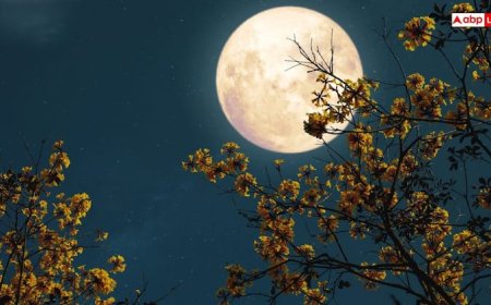 Sharad Purnima 2025 Moon Time: शरद पूर्णिमा पर आज कितने बजे होगा चंद्रोदय, जानें आपके शहर में चांद निकलने का समय