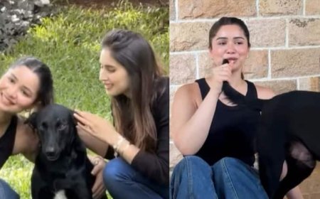 सारा तेंदुलकर ने कुत्ते की पूंछ का बनाया माइक, भाभी सानिया चंडोक के साथ की खूब मस्ती; देखें वीडियो