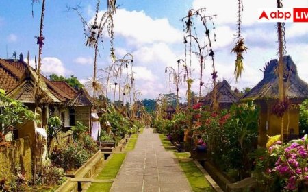 कहां है दुनिया का सबसे साफ हिंदू गांव, कैसे पहुंच सकते हैं यहां?