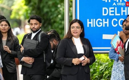 'गंभीर मुद्दा, लेकिन फैसला संसद को करना होगा', ट्रांसजेंडर अधिकारों को लेकर दिल्ली HC ने केंद्र को भेजा नोटिस