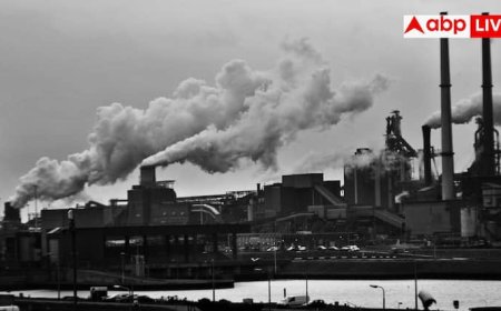 Vitamin D Deficiency In India: प्रदूषण और भागदौड़ भरी जिंदगी से  भारतीयों को हो रहा तगड़ा नुकसान, बॉडी में घट रहा यह विटामिन