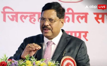 'उस दिन जो हुआ मैं हैरान था...', जूता फेंकने की कोशिश की घटना पर क्या बोले CJI गवई