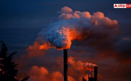 Pollution Health Effects: सिर्फ सांसों पर भारी नहीं पड़ रहा  प्रदूषण, जोड़ों की बीमारी आर्थराइटिस भी बढ़ा रही जहरीली हवा