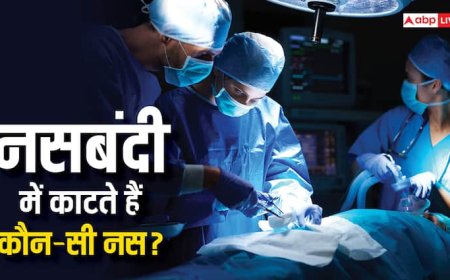 Sterilization Surgery: नसबंदी में कौन-सी नस काट देते हैं डॉक्टर, जिससे पैदा नहीं होते बच्चे?