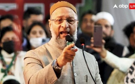 'मैं ही अकेला मर्द हूं...दूसरी पार्टियों को क्यों नहीं भेजा BNSS नोटिस', केंद्र पर भड़के ओवैसी