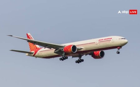 'एअर इंडिया के बोइंग 787 विमानों की उड़ानें रोकें', पायलट संगठन ने सरकार को लिखी चिट्ठी, रखीं ये तीन डिमांड