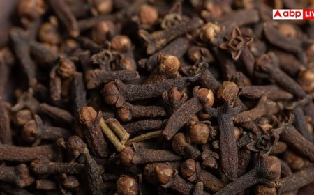 Benefits of cloves: सिर्फ एक लौंग रोज खाएंगे तो मजबूत हो जाएगा हार्ट, नैचुरली कम हो जाएगा इस बीमारी का भी खतरा